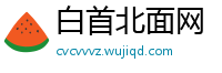 白首北面网